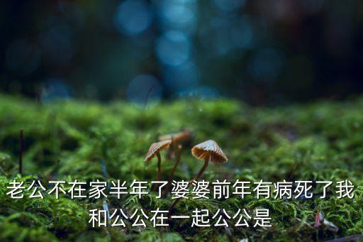 我和公的情亂，家庭亂情王麗霞第三部1020