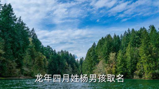 楊龍輝，2012龍年楊姓男寶寶起名爸爸姓楊媽媽也是姓楊大約在2月