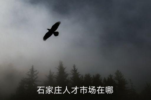 石家莊人才市場，石家莊人才市場在哪里