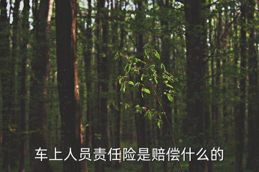 車上人員責任險，車上人員責任險是賠償什么的