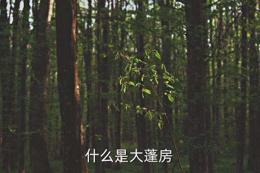 大棚房，豬圈算是大棚房嗎