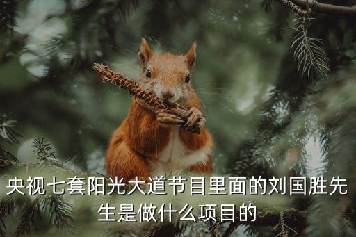 劉國(guó)勝，請(qǐng)告訴我河西區(qū)教育局局長(zhǎng)是誰(shuí)以前是做什么的能直接知道他人的