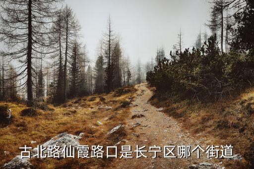 古北路仙霞路口是長(zhǎng)寧區(qū)哪個(gè)街道