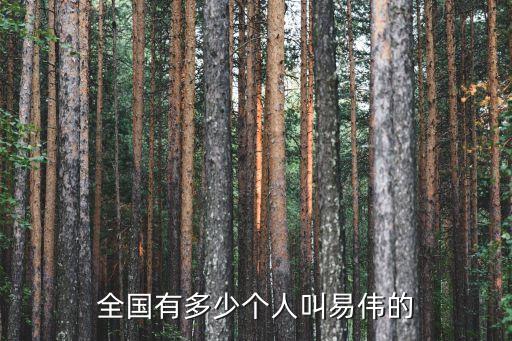易偉，施易偉這個名字可打多少分
