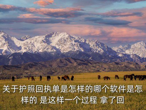 關(guān)于護(hù)照回執(zhí)單是怎樣的哪個(gè)軟件是怎樣的 是這樣一個(gè)過(guò)程 拿了回