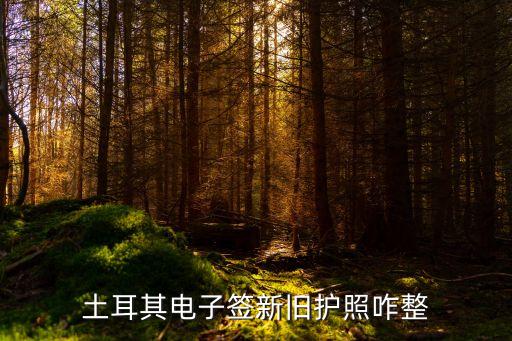土耳其電子簽，土耳其電子簽新舊護(hù)照咋整