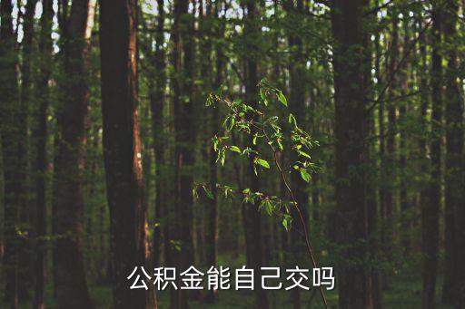 自己能交公積金嗎，個(gè)人能否自己繳納住房公積金
