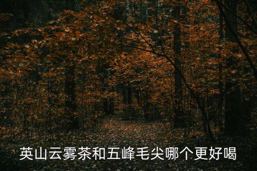 云霧毛尖，英山云霧茶和五峰毛尖哪個更好喝