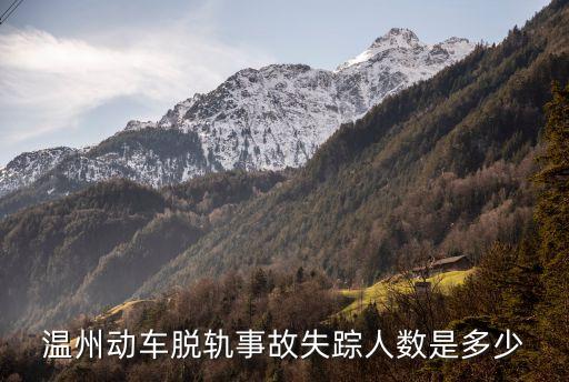 溫州動(dòng)車脫軌事故失蹤人數(shù)是多少
