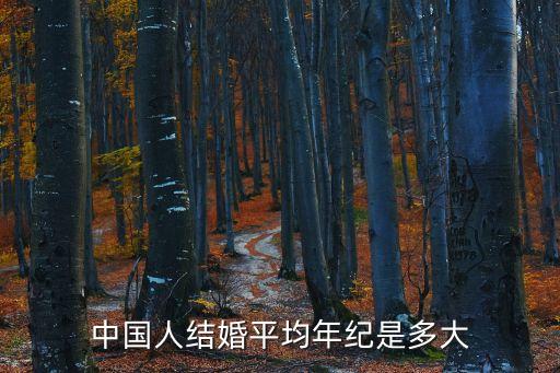 中國人結(jié)婚平均年紀(jì)是多大