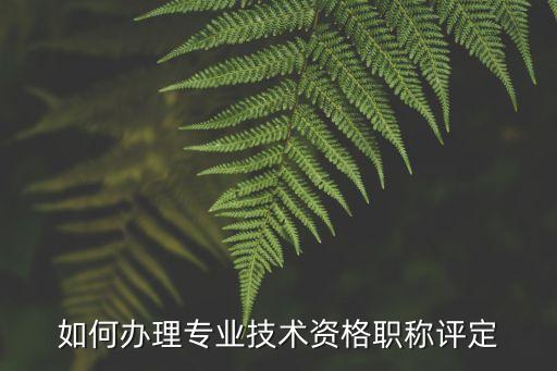 職稱辦理，如何辦理專業(yè)技術資格職稱評定
