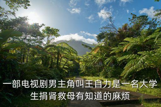 一部電視劇男主角叫王自力是一名大學(xué)生捐腎救母有知道的麻煩