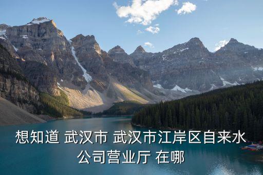 想知道 武漢市 武漢市江岸區(qū)自來水公司營業(yè)廳 在哪