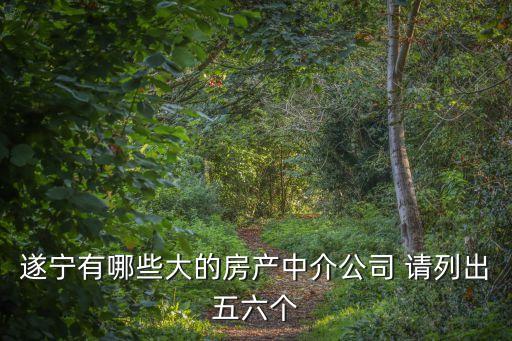 遂寧房產(chǎn)，遂寧有哪些大的房產(chǎn)中介公司 請(qǐng)列出五六個(gè)
