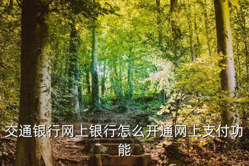 交通銀行網(wǎng)上繳費(fèi)，交通銀行信用卡怎么開通網(wǎng)上支付