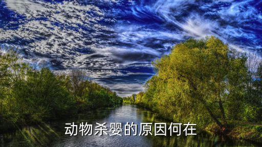殺嬰，動物為什么會有殺嬰的現(xiàn)象