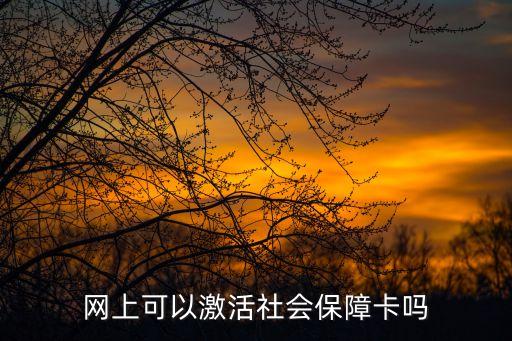 網(wǎng)上可以激活社會保障卡嗎