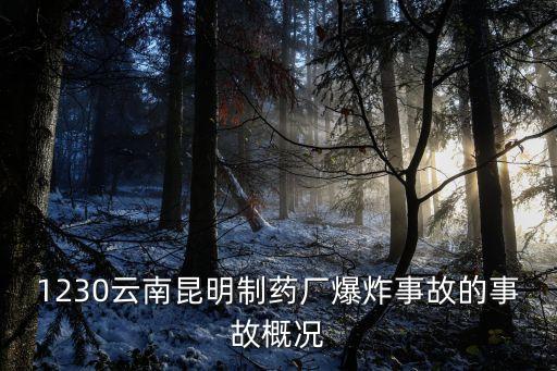 云南事件，1230云南昆明制藥廠爆炸事故的事故概況