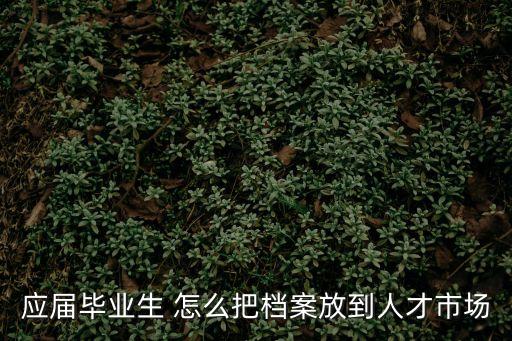 人才市場(chǎng)檔案，檔案怎么轉(zhuǎn)到人才市場(chǎng)
