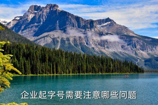 企業(yè)工商字號(hào)，備選企業(yè)字號(hào)是什么意思