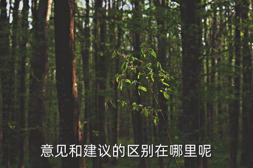 意見的意思，意見和建議的區(qū)別在哪里呢