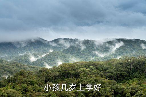 幾歲可以上小學(xué)，幾歲才能上小學(xué)