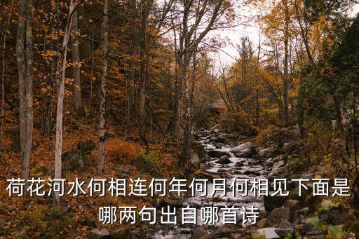 荷花河水何相連何年何月何相見(jiàn)下面是哪兩句出自哪首詩(shī)