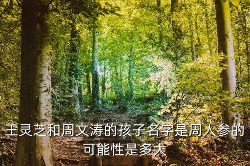 王靈芝和周文濤的孩子名字是周人參的可能性是多大