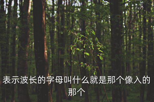表示波長的字母叫什么就是那個(gè)像入的那個(gè)