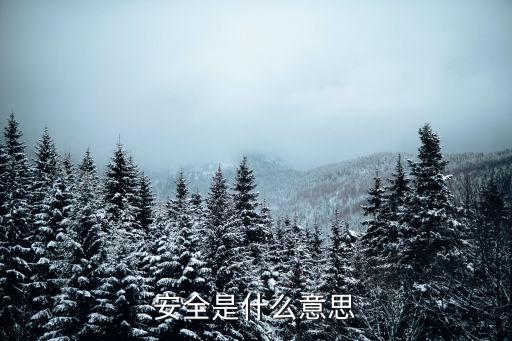 安全是指什么，安全是什么意思