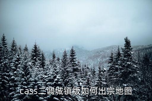 cass二調(diào)城鎮(zhèn)版如何出宗地圖