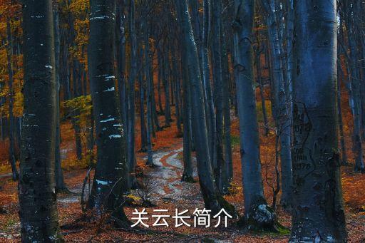 關(guān)云長簡介