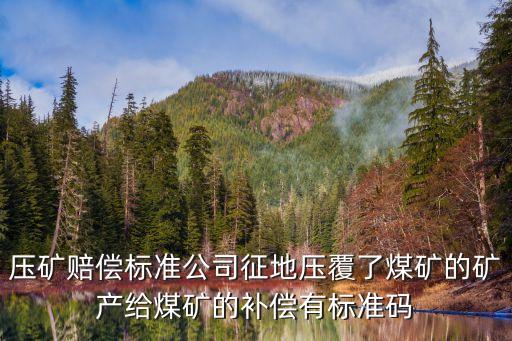 壓礦，壓礦賠償標(biāo)準(zhǔn)公司征地壓覆了煤礦的礦產(chǎn)給煤礦的補(bǔ)償有標(biāo)準(zhǔn)碼