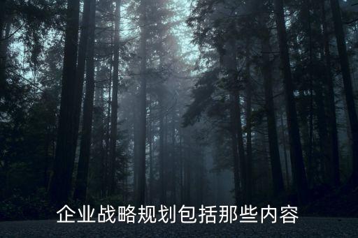 企業(yè)戰(zhàn)略是什么，企業(yè)戰(zhàn)略包括三個層次公司級戰(zhàn)略事業(yè)級戰(zhàn)略和市場級戰(zhàn)略  搜