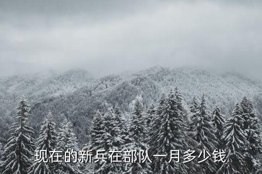 當兵一個月多少工資，義務兵工資多少