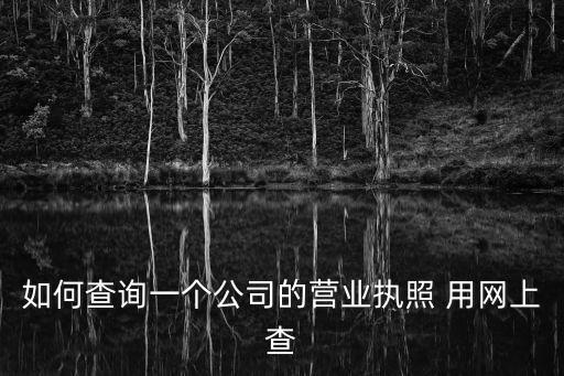 如何查詢一個(gè)公司的營(yíng)業(yè)執(zhí)照 用網(wǎng)上查