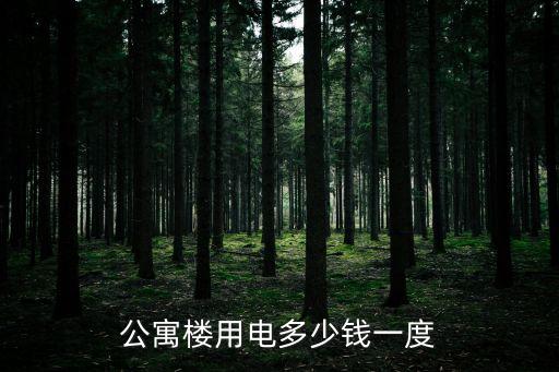 公寓樓用電多少錢一度