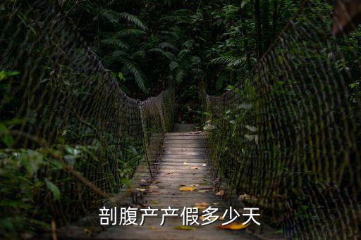 剖腹產(chǎn)產(chǎn)假多少天