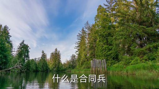 合同兵，什么是合同兵