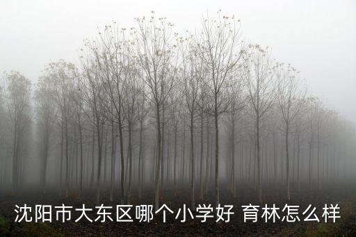 沈陽(yáng)市大東區(qū)哪個(gè)小學(xué)好 育林怎么樣