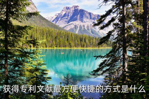 獲得專利文獻最方便快捷的方式是什么