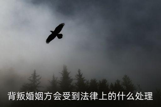 背叛婚姻方會受到法律上的什么處理