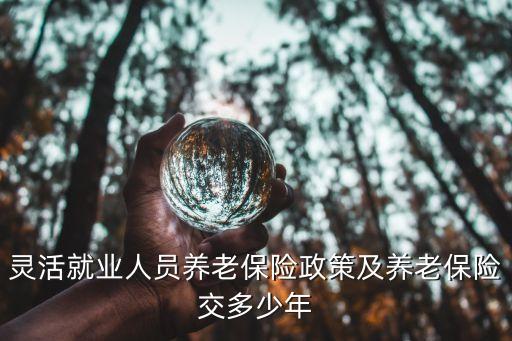 靈活就業(yè)人員，什么是靈活就業(yè)人員