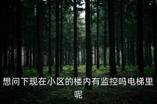 小區(qū)監(jiān)控，想問下現(xiàn)在小區(qū)的樓內有監(jiān)控嗎電梯里呢