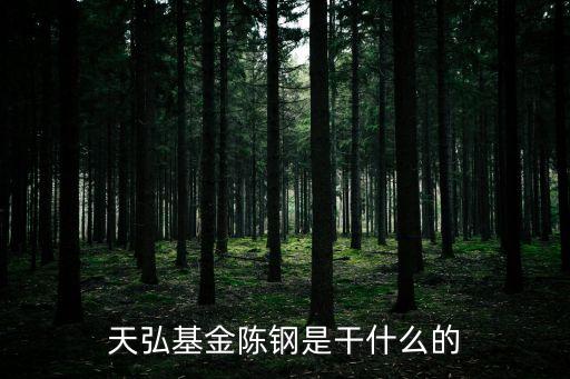 天弘基金陳鋼是干什么的