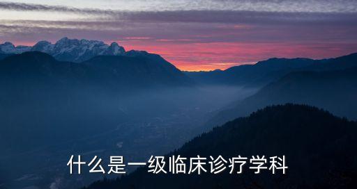 診療科目，診所和衛(wèi)生室的同行們你們的診療科目是全科醫(yī)療嗎請教教  搜