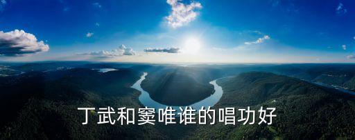 丁武和竇唯誰的唱功好