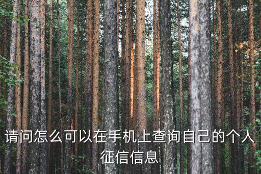 手機怎么查征信，手機上怎樣查詢征信報告