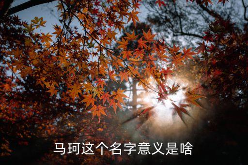 馬珂，丁一愛(ài)馬珂嗎