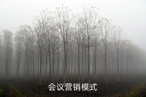 會(huì)銷模式，會(huì)議營銷模式